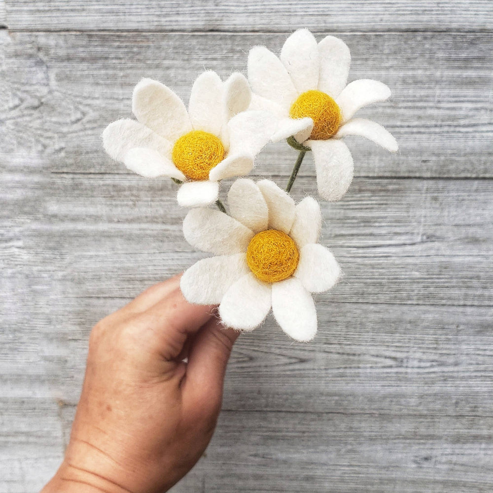 
                  
                    Felt Stem:  Button Daisies
                  
                