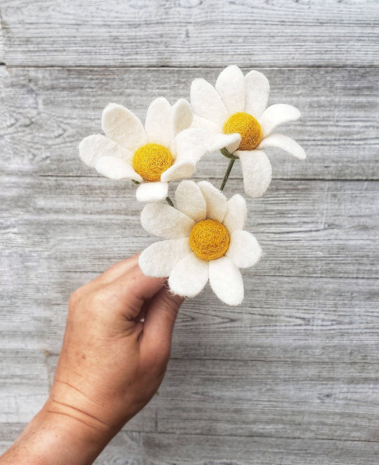 
                  
                    Felt Stem:  Button Daisies
                  
                