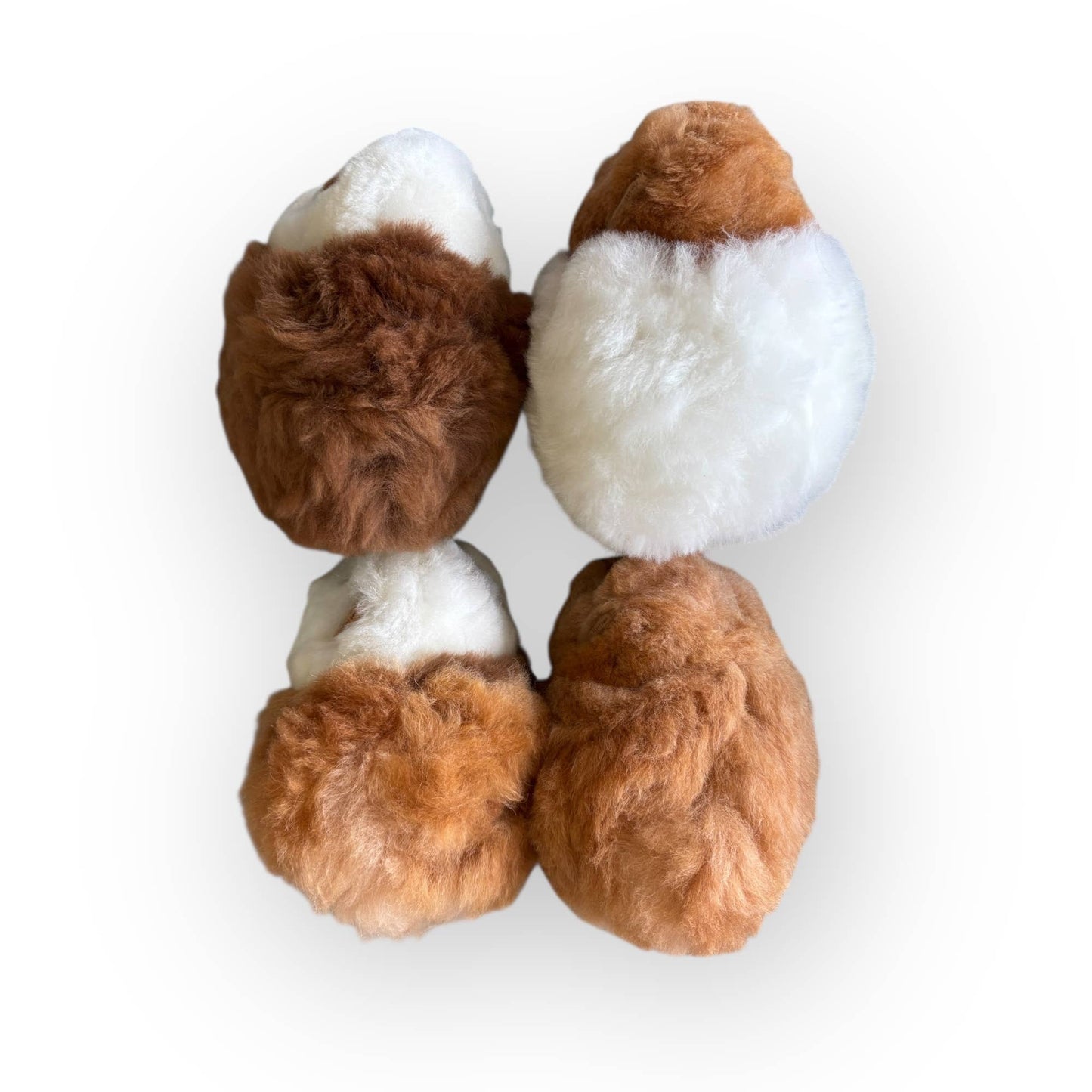 
                  
                    The Floofiest Guinea Pig of Alpaca Wool
                  
                
