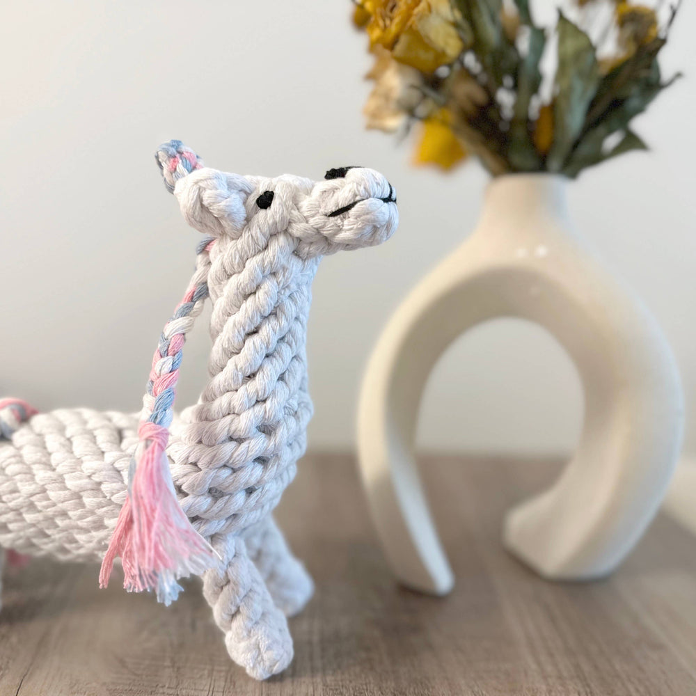 
                  
                    Unicorn Dog Rope Toy
                  
                