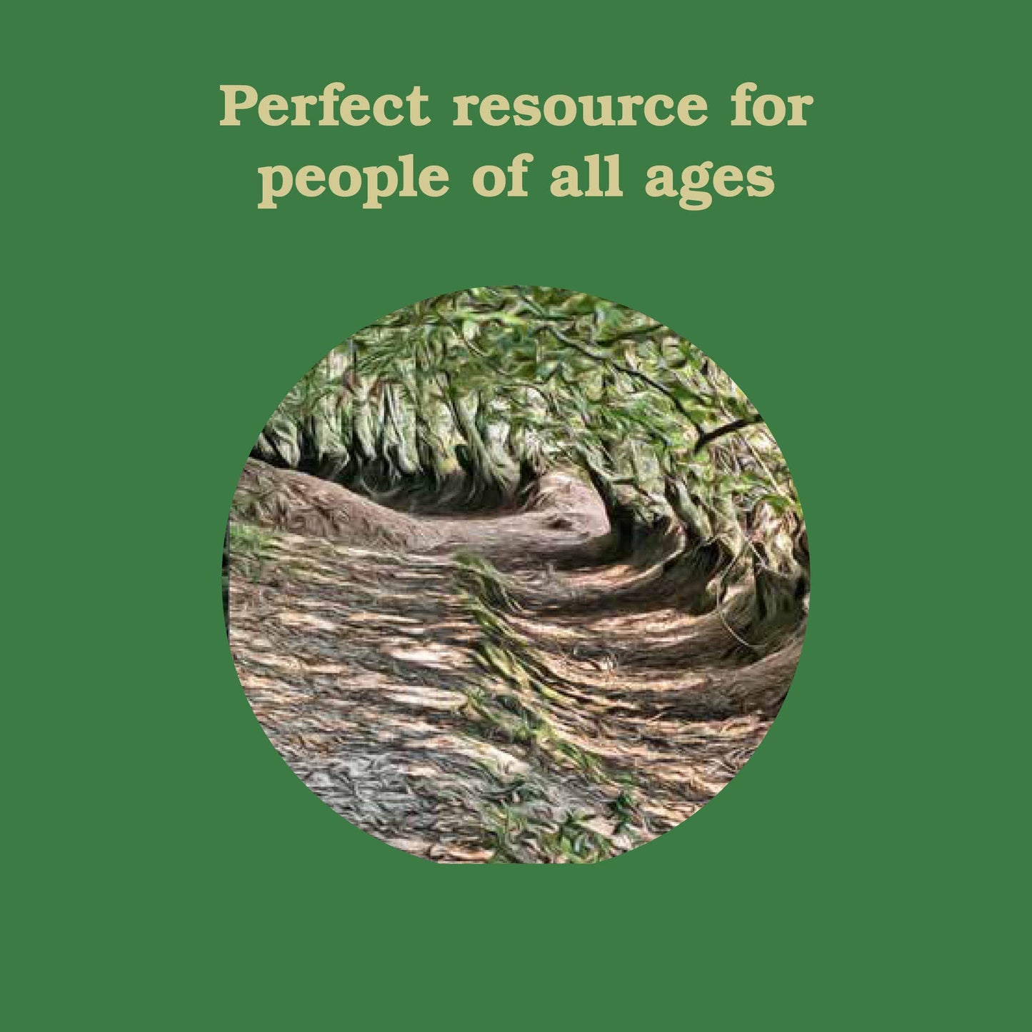 
                  
                    Forest School for Grown-Ups
                  
                