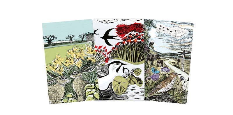 
                  
                    Angela Harding: Set of 3 Mini Notebooks
                  
                
