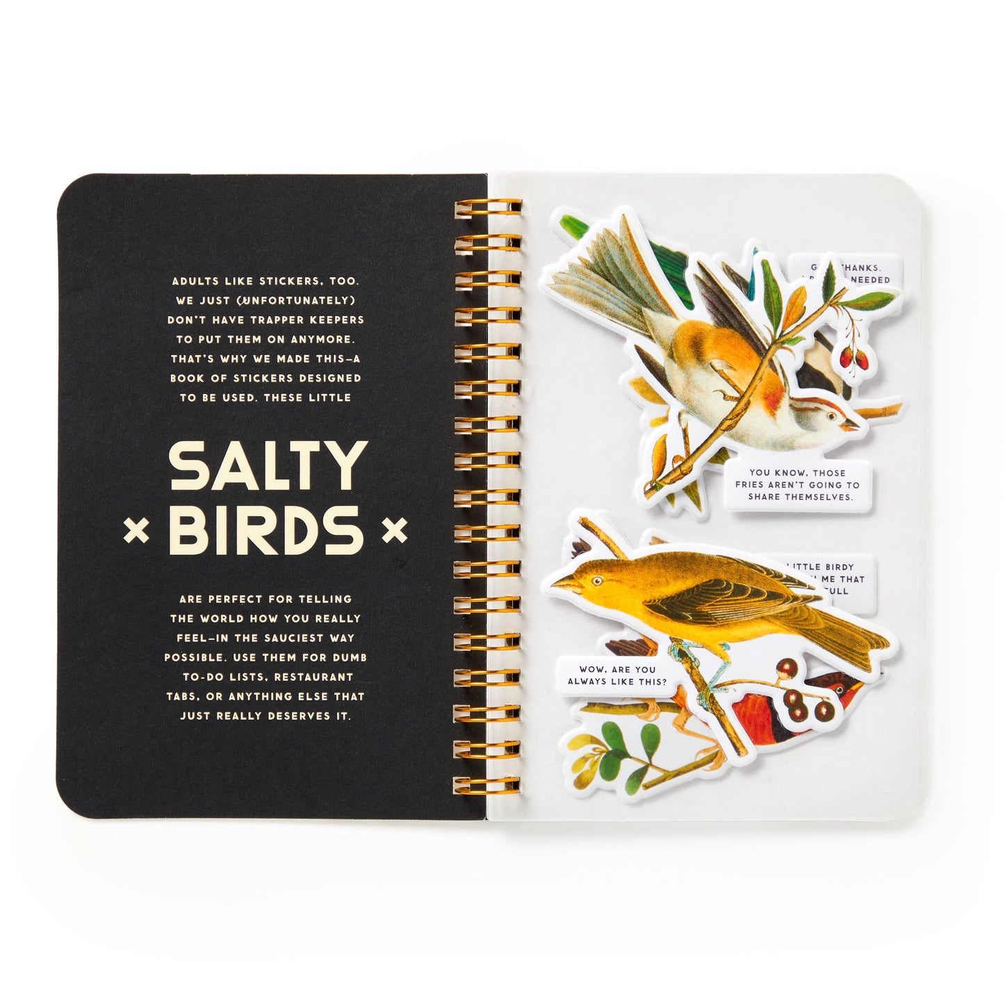 
                  
                    "Salty Birds" a Brass Monkey Sticker Book
                  
                
