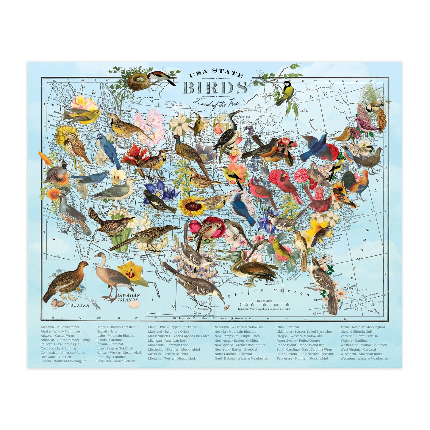 
                  
                    State Birds 1000 Piece Puzzle by Wendy Gold
                  
                
