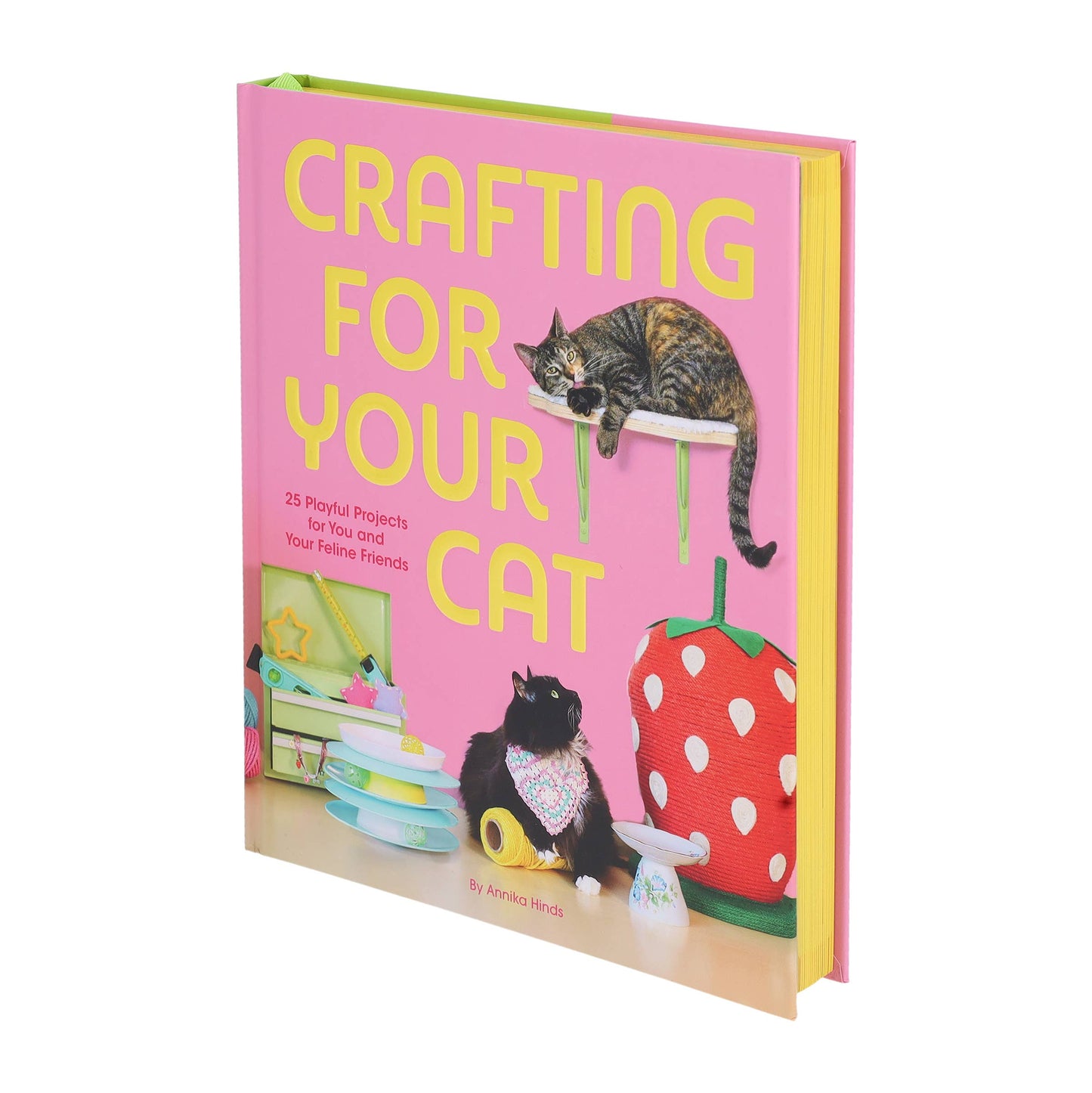 
                  
                    Crafting for Your Cat
                  
                
