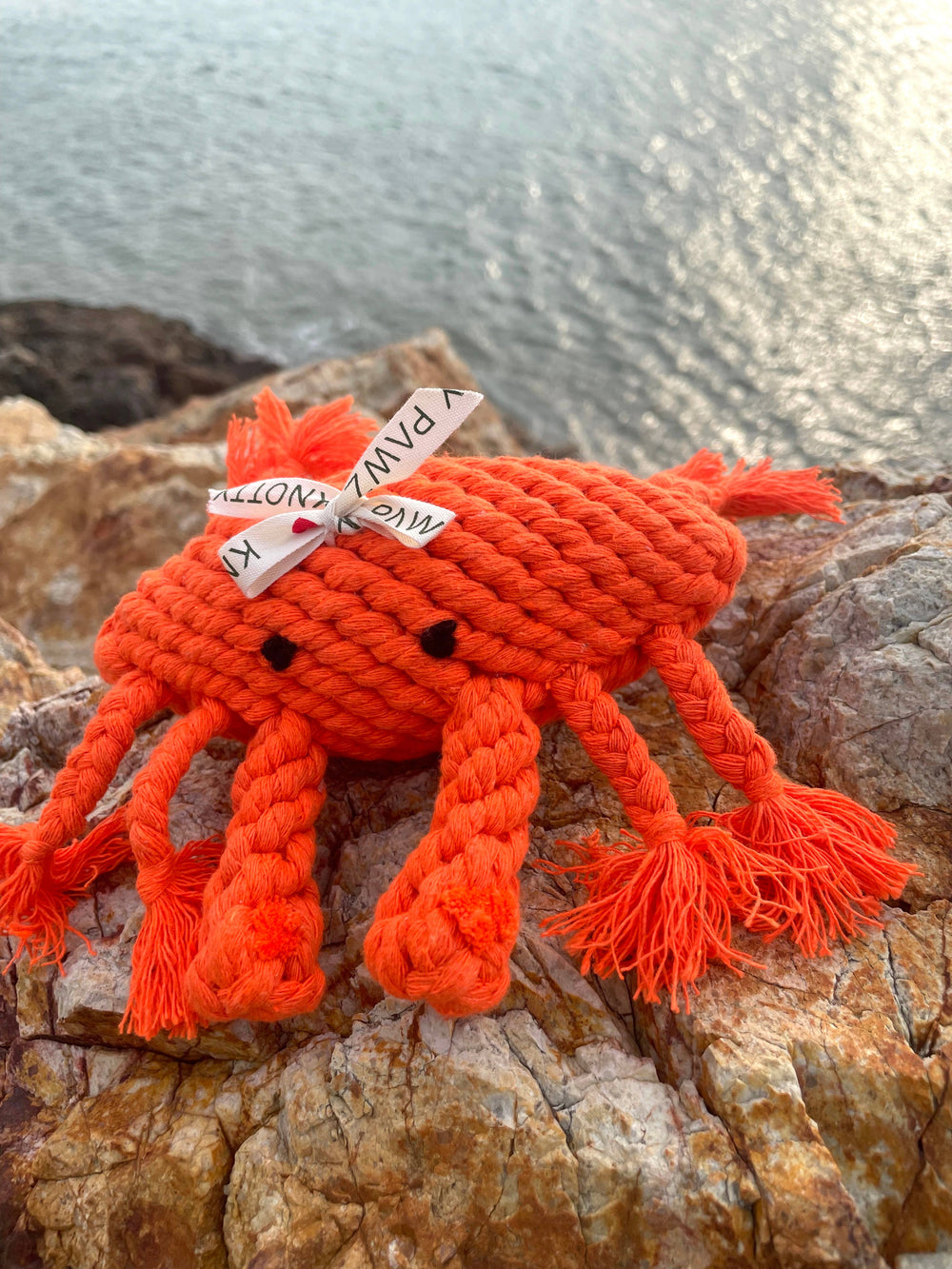 Happy the Crab Dog Rope Toy