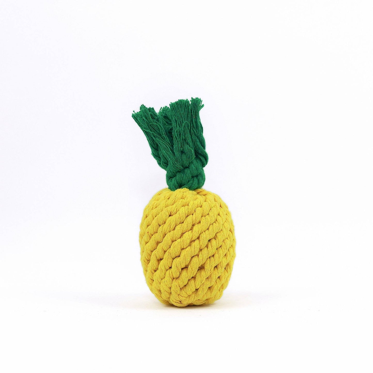 
                  
                    Apple Dog Rope Toy
                  
                
