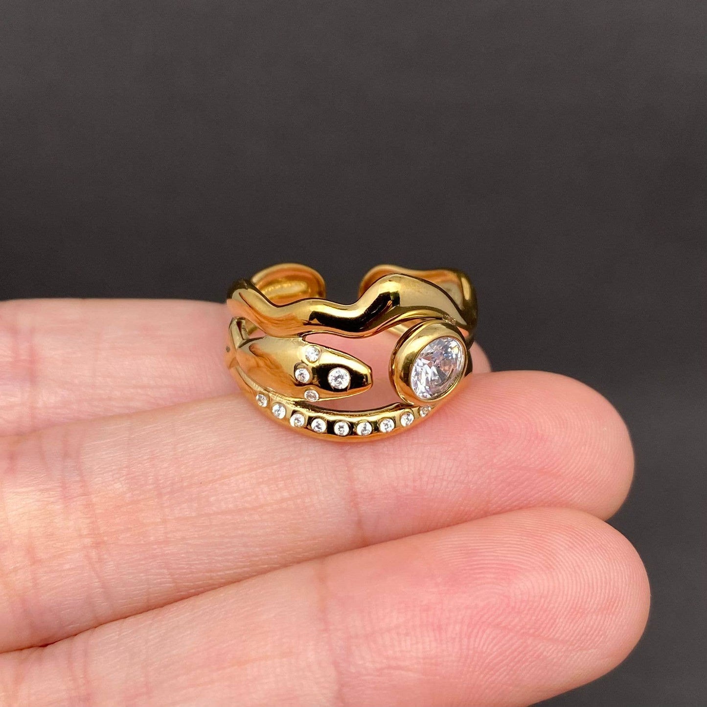 
                  
                    Zircon Inlaid Squiggly Fish Ring
                  
                