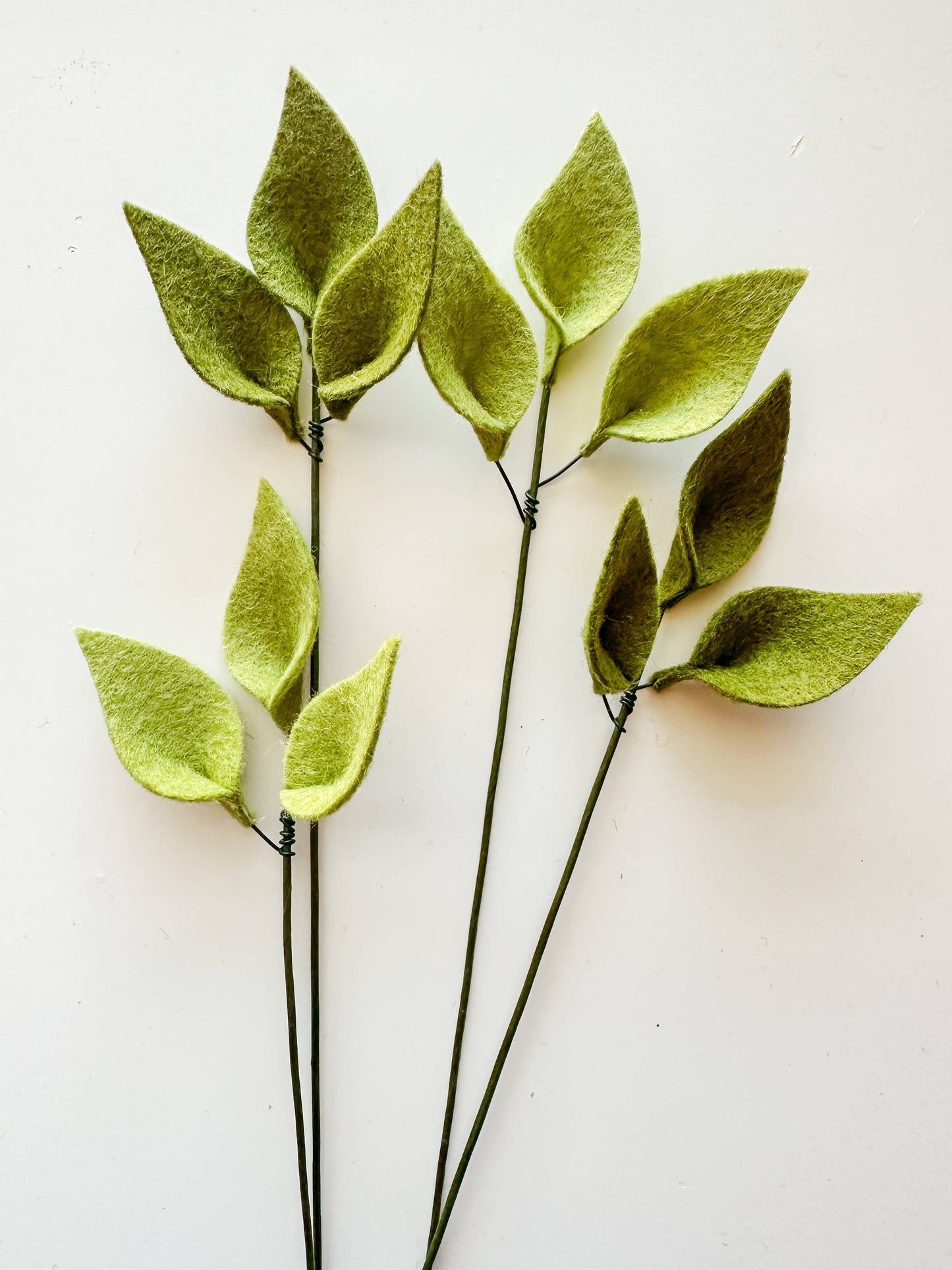 
                  
                    Smooth Tri-Leaf Felt Stem
                  
                