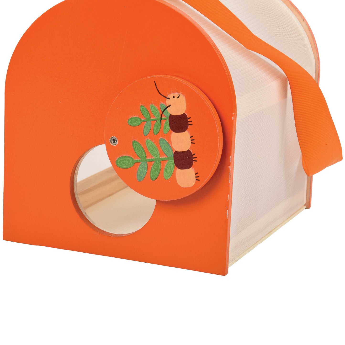 
                  
                    Bug Observatory
                  
                