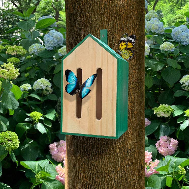 
                  
                    Little Butterfly House
                  
                
