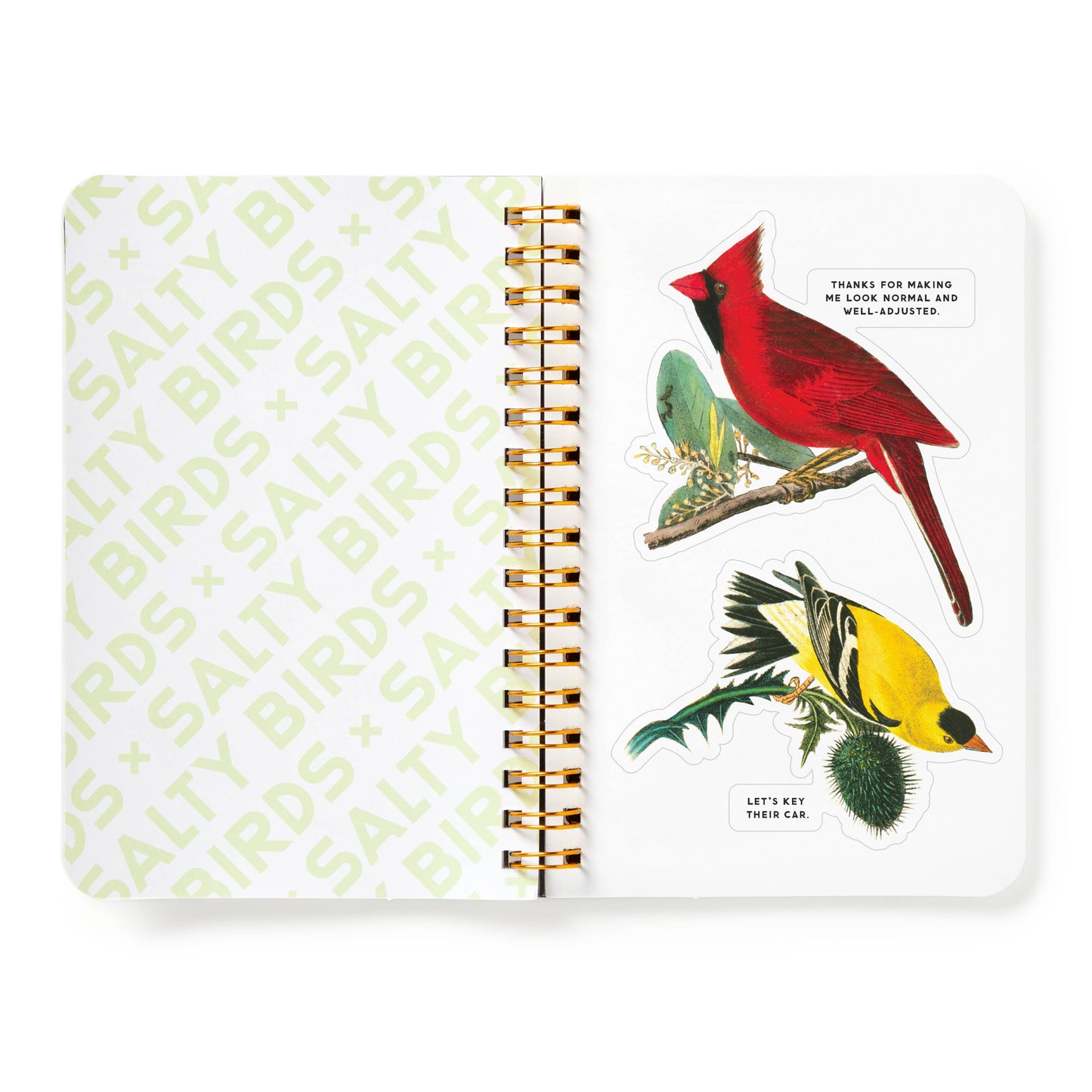 
                  
                    "Salty Birds" a Brass Monkey Sticker Book
                  
                