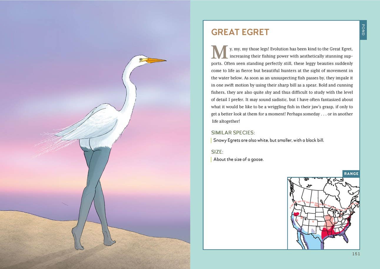 
                  
                    Extremely Accurate Birds by Tommy Siegel
                  
                