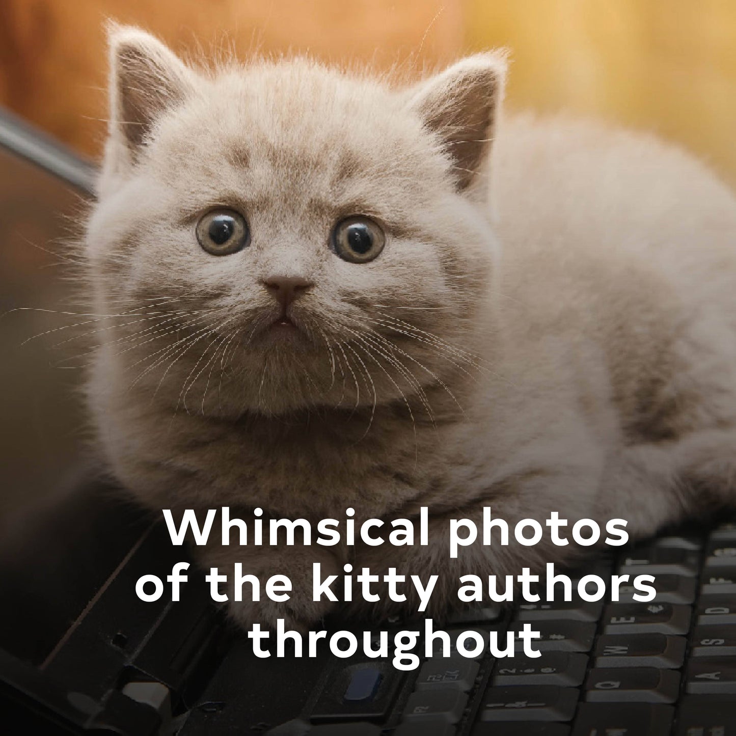 
                  
                    I Could Pee on This: A Book of Poems by Cats
                  
                