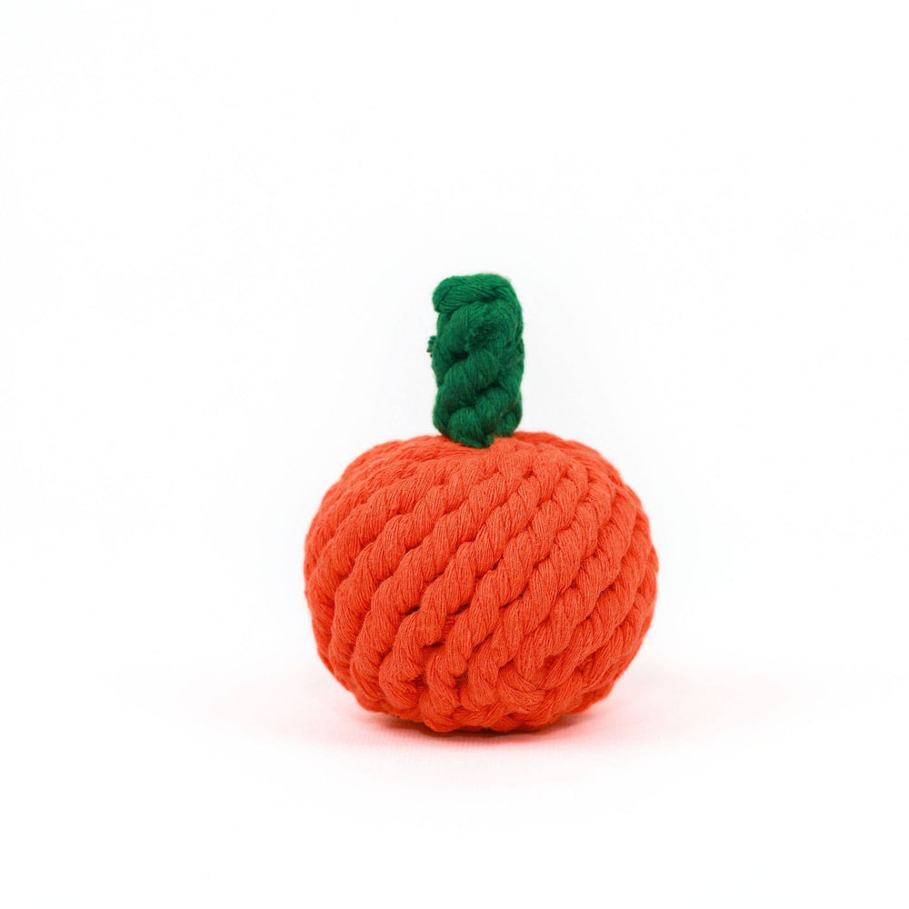 
                  
                    Apple Dog Rope Toy
                  
                