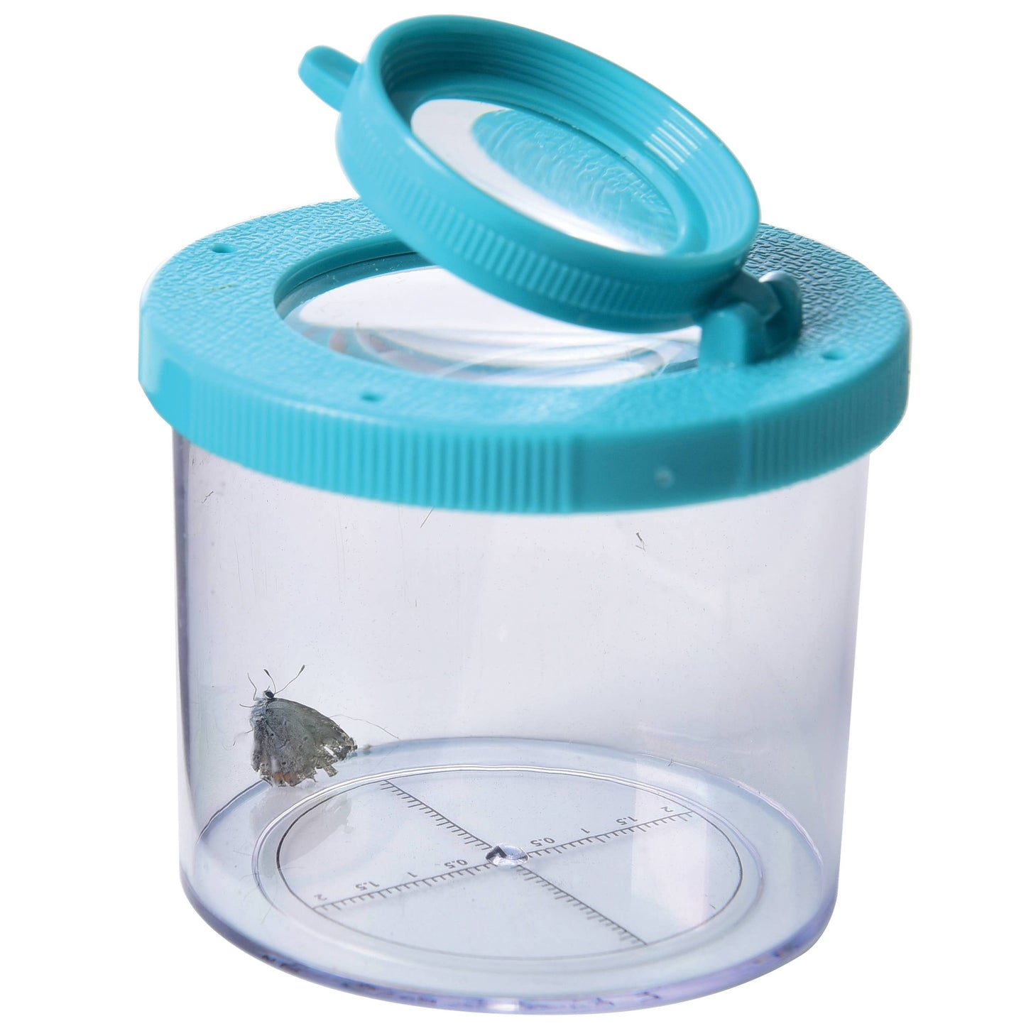 
                  
                    Bug Viewer Observation Jar
                  
                