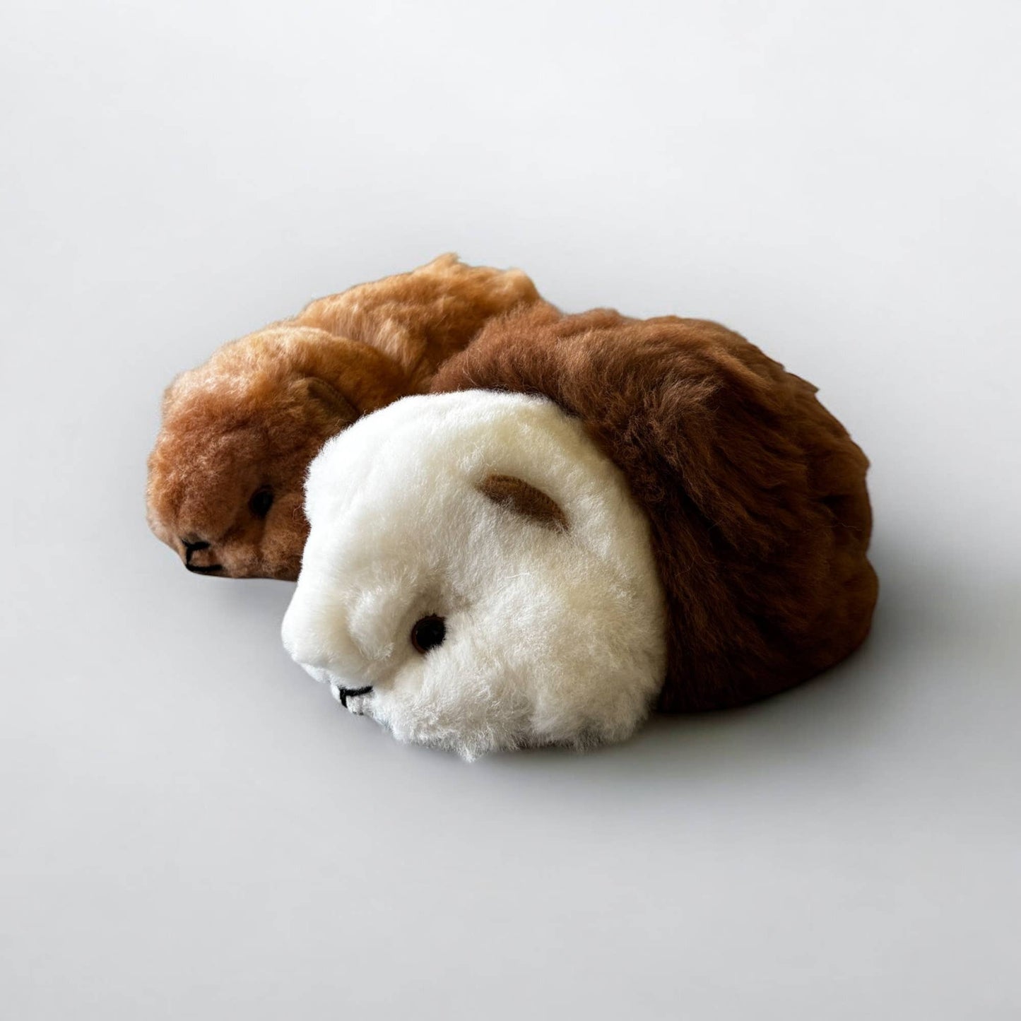 
                  
                    The Floofiest Guinea Pig of Alpaca Wool
                  
                