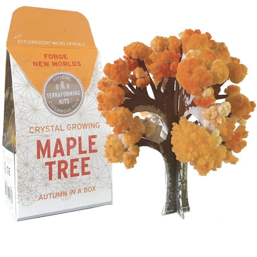 Crystal Growing Maple Tree | Craft Science Kit