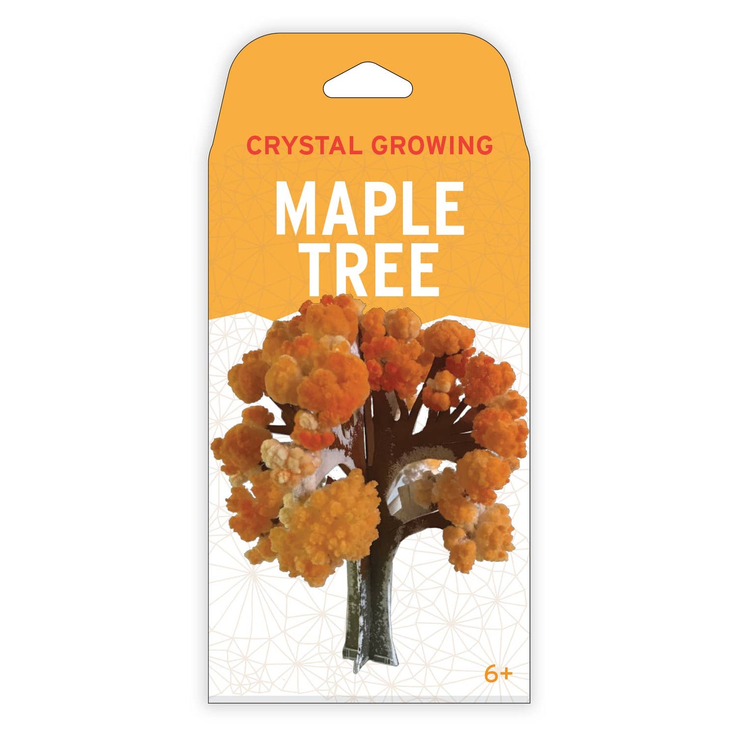 
                  
                    Crystal Growing Maple Tree | Craft Science Kit
                  
                