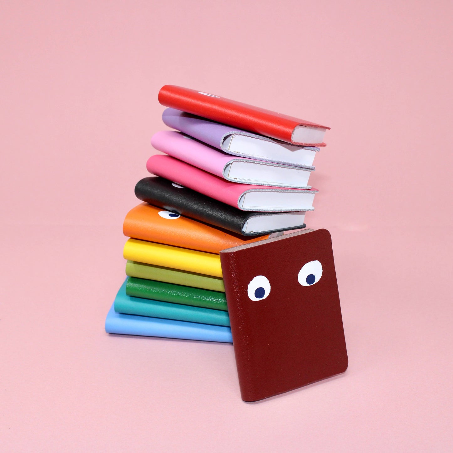 
                  
                    Googly Eye Mini Leather Notebook
                  
                