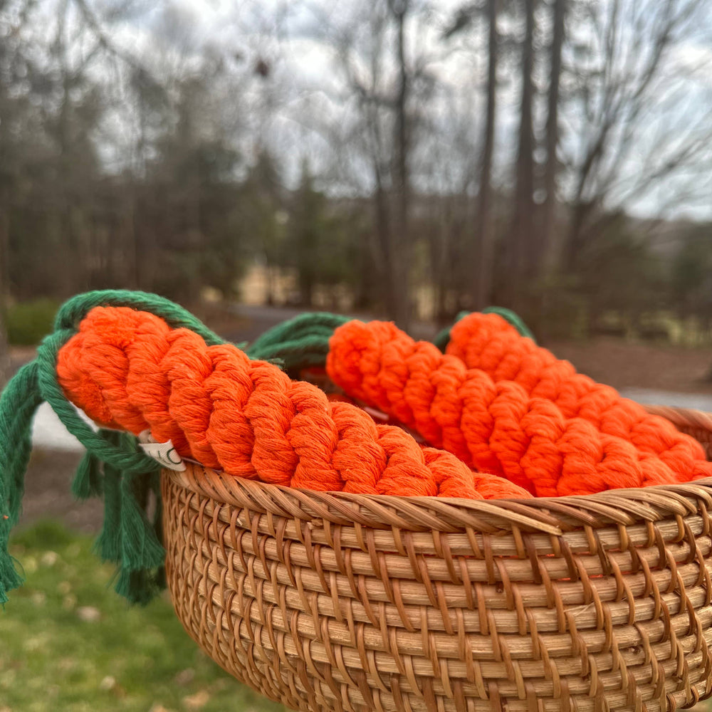
                  
                    Carrot Dog Rope Toy
                  
                