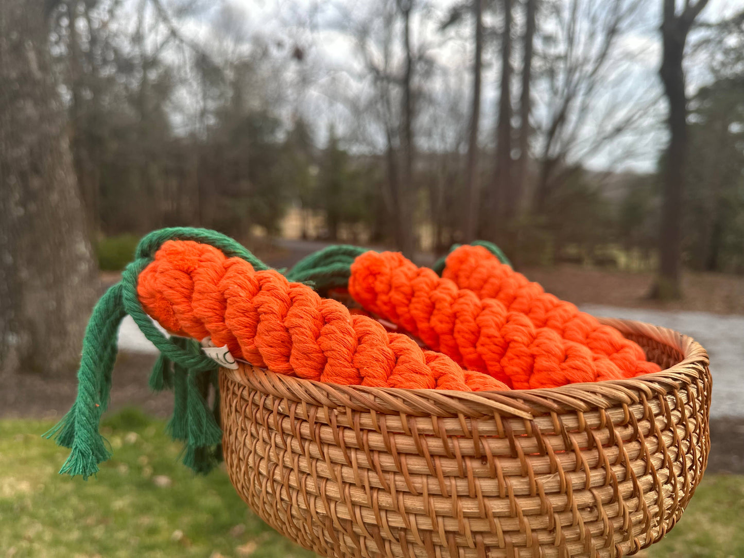 
                  
                    Carrot Dog Rope Toy
                  
                