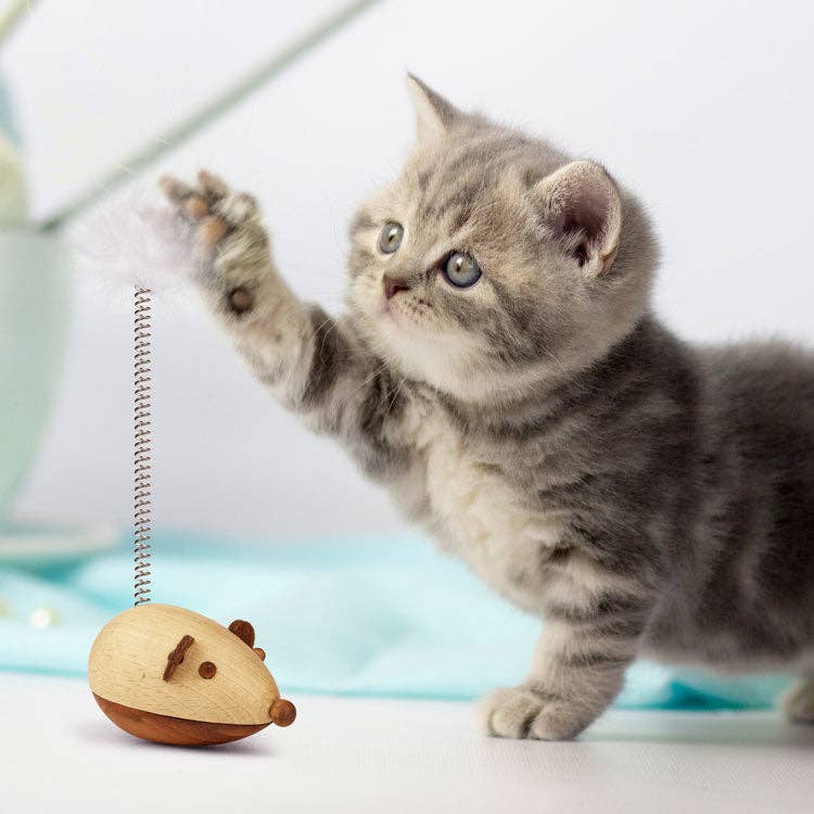 
                  
                    Self-Stabilizing Wooden Mouse Cat Toy
                  
                