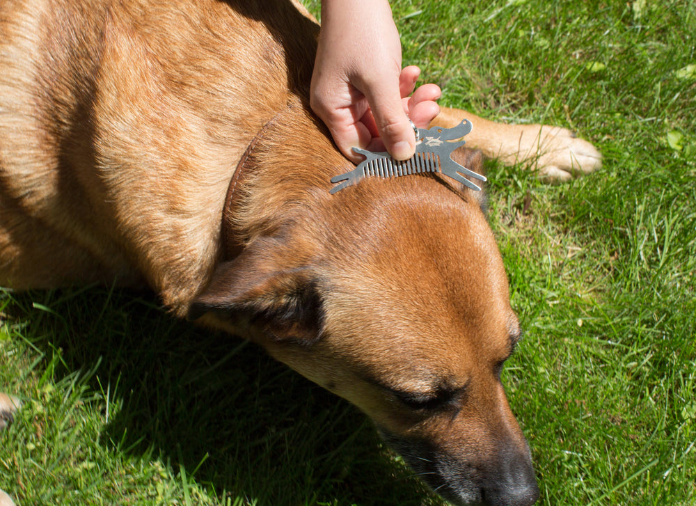 Doggo Tick Tool
