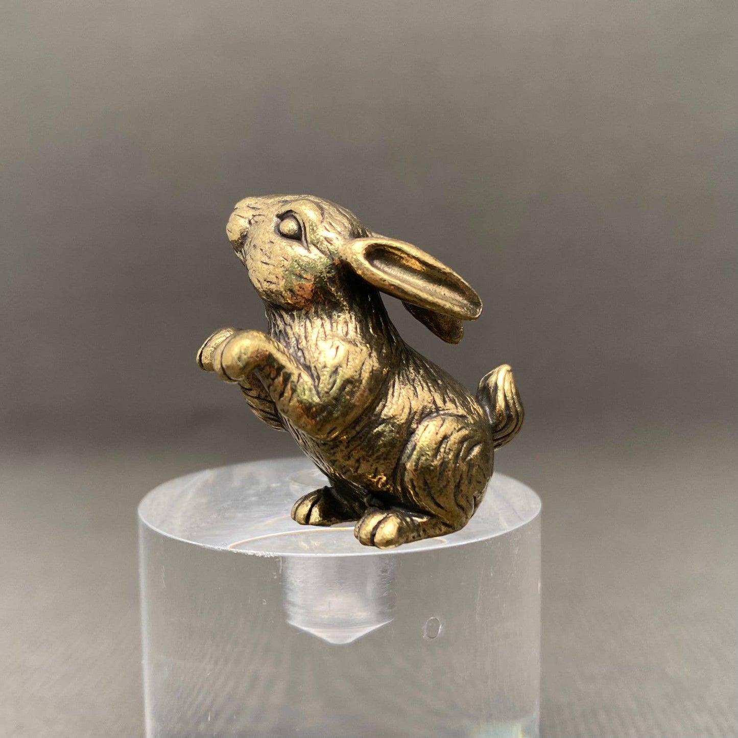 
                  
                    Mini Brass Critter Collection
                  
                