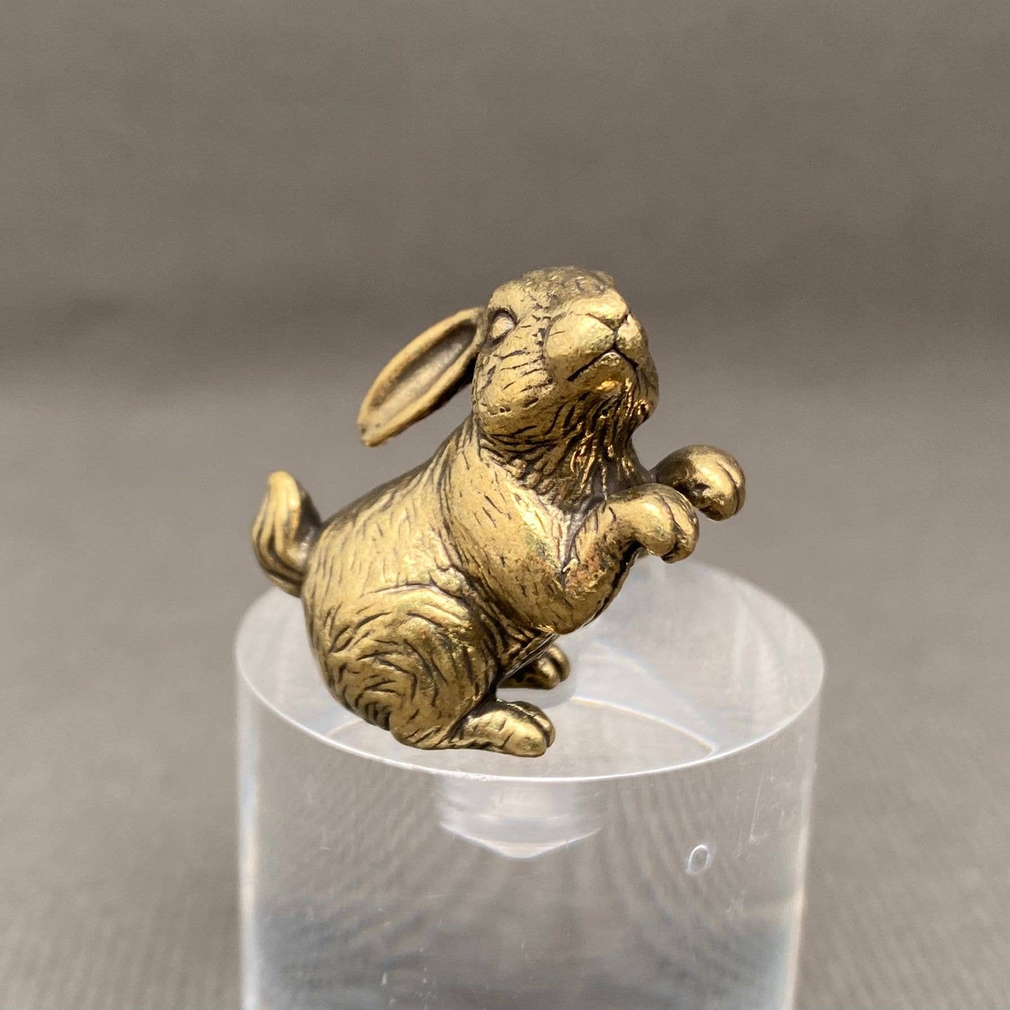 
                  
                    Mini Brass Critter Collection
                  
                