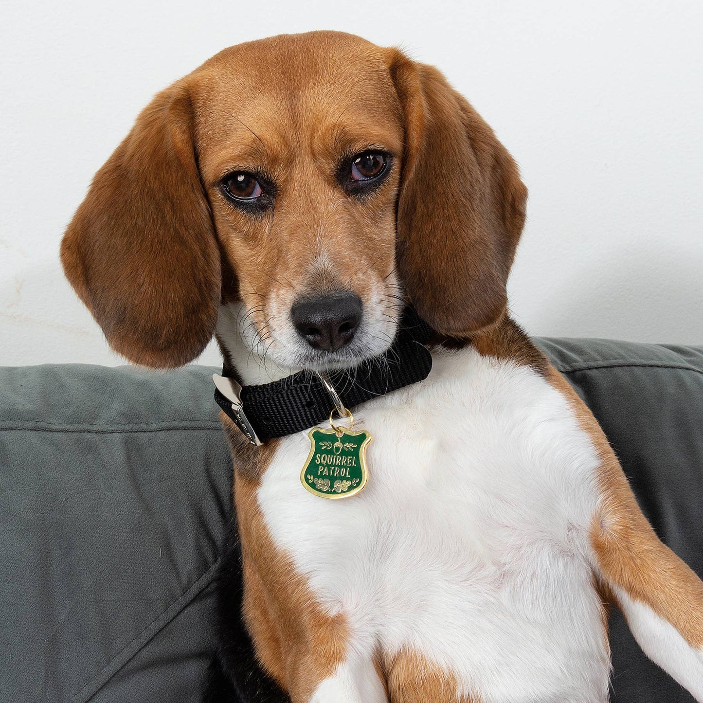 
                  
                    "Squirrel Patrol" Pet Collar Charm
                  
                