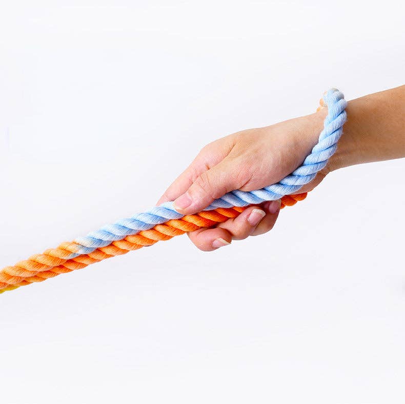 
                  
                    7.6ft Hands Free Dog Leash
                  
                