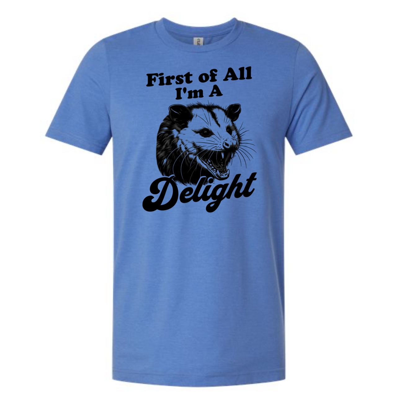 
                  
                    First Of All I'm a Delight Tee
                  
                