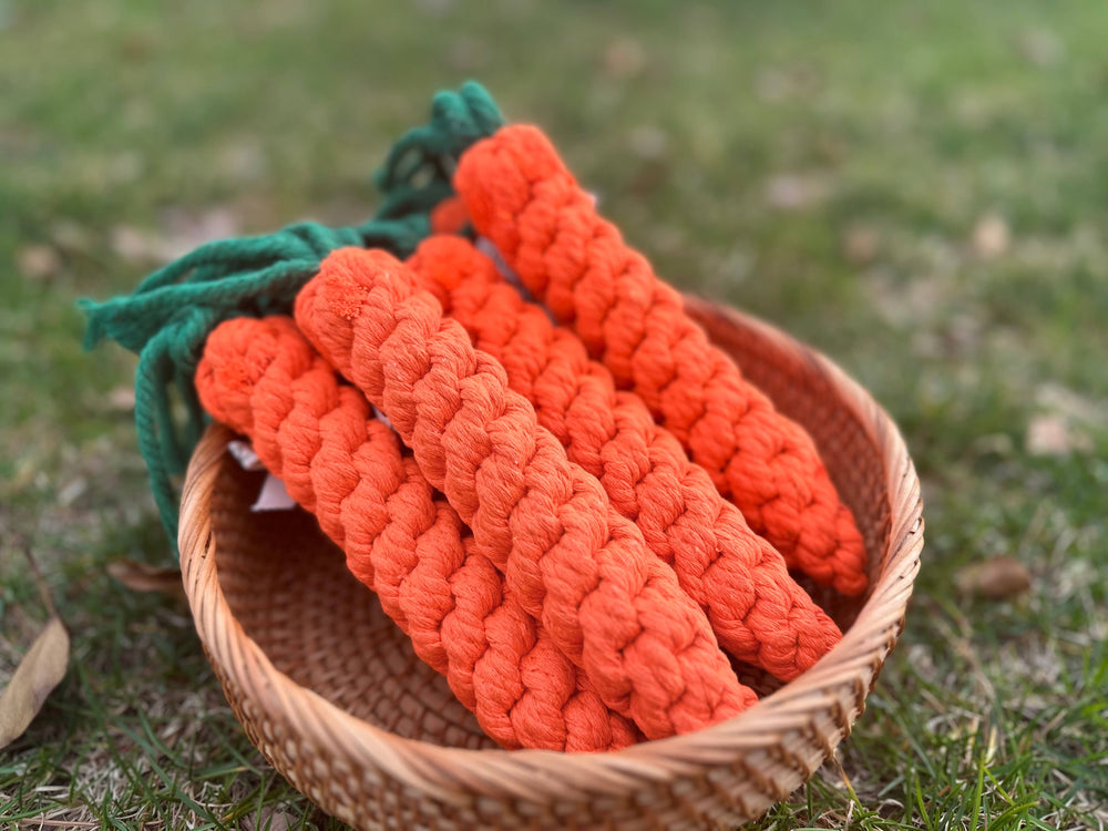 Carrot Dog Rope Toy