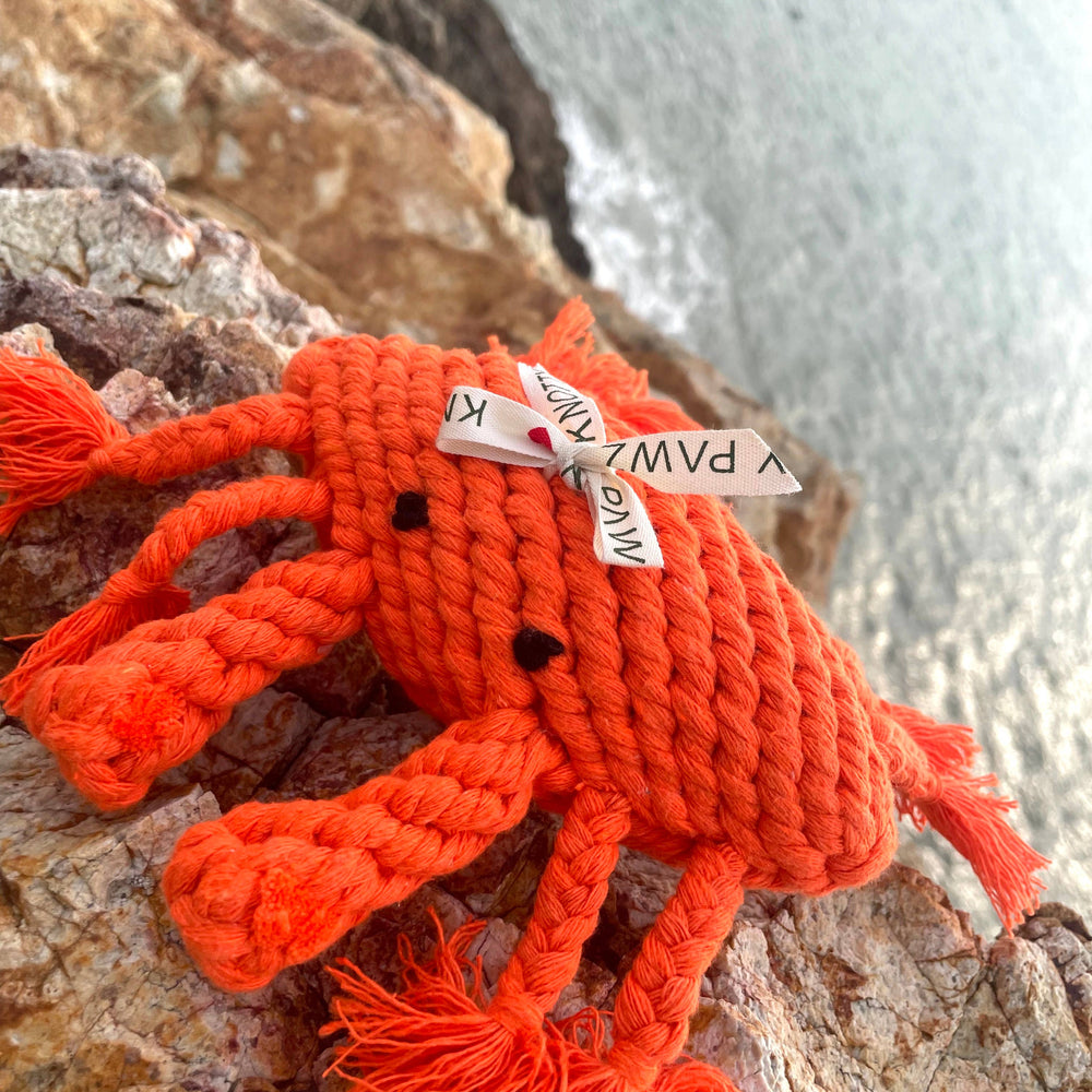 
                  
                    Happy the Crab Dog Rope Toy
                  
                