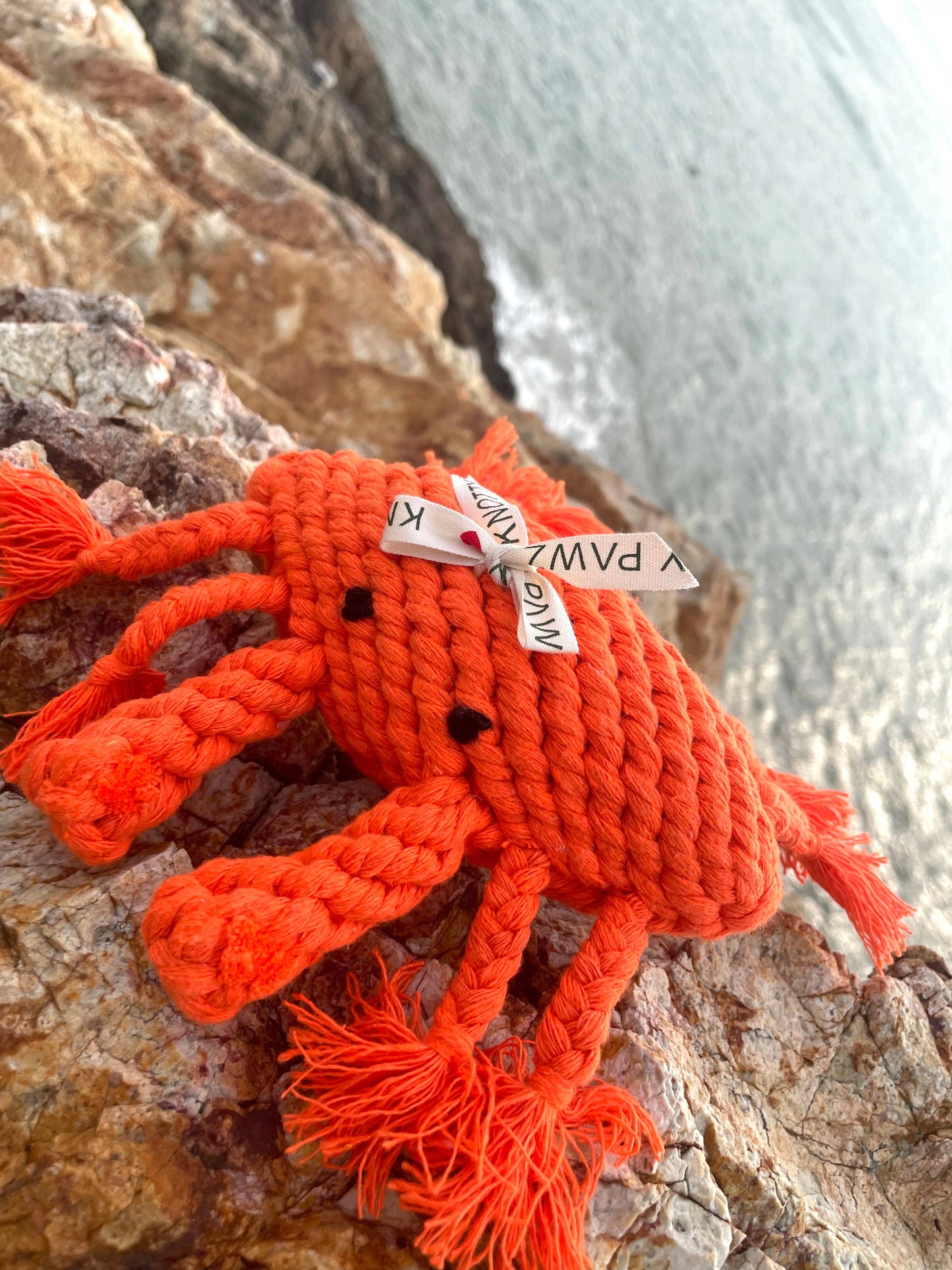 
                  
                    Happy the Crab Dog Rope Toy
                  
                