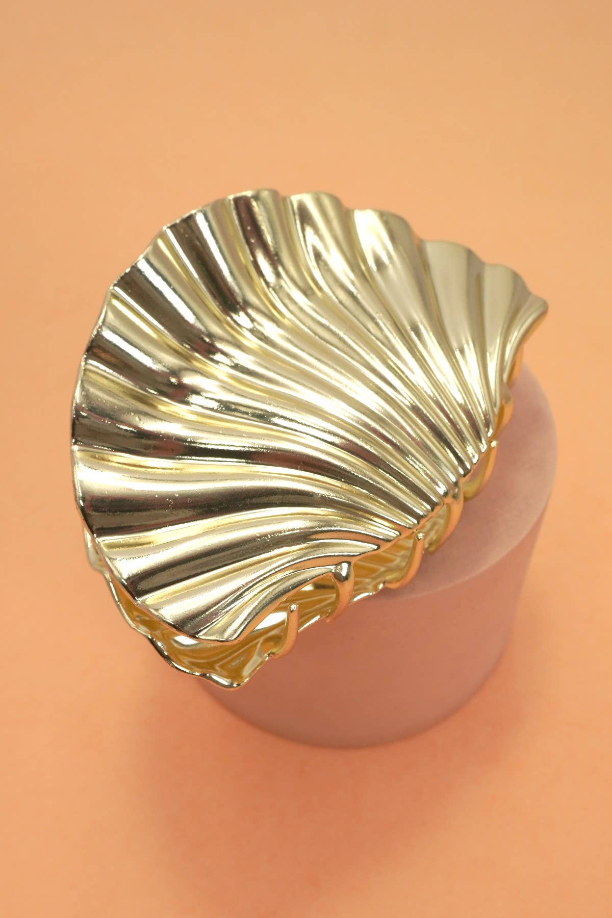 
                  
                    Metal Seashell Hair Claw
                  
                