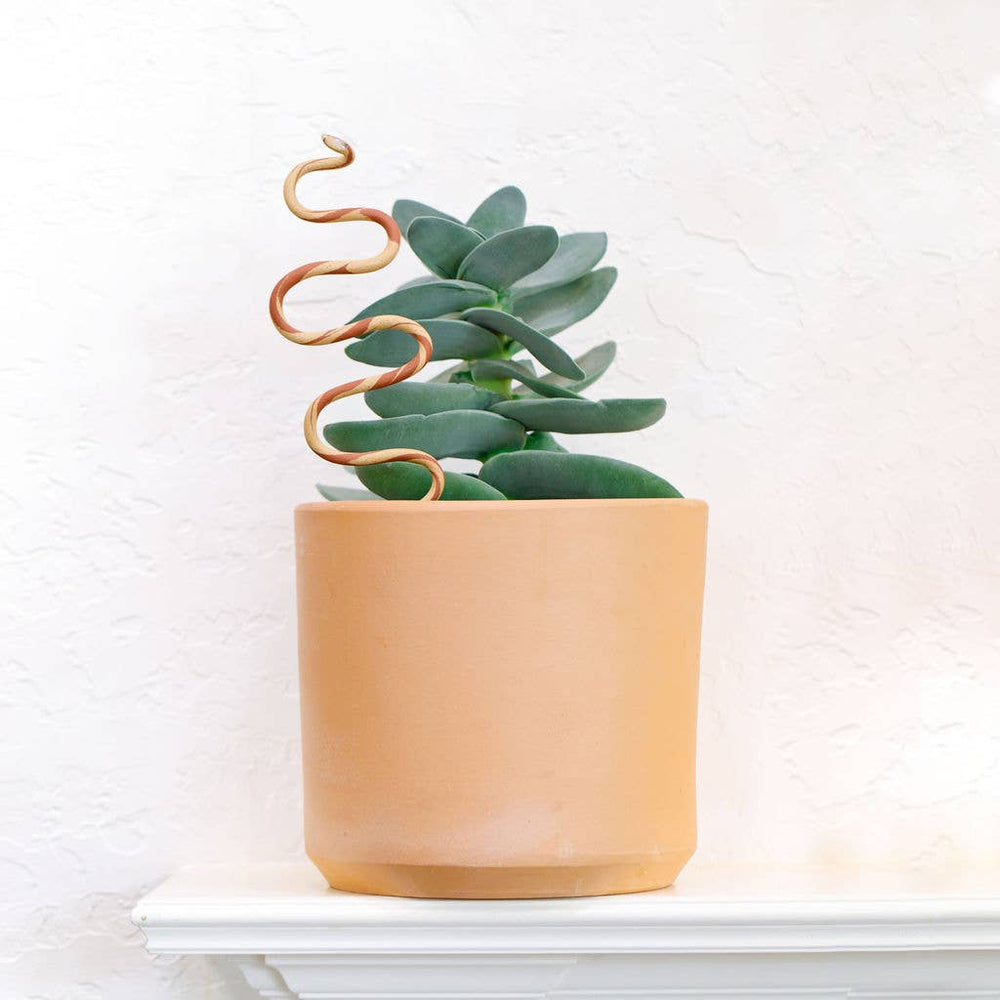 
                  
                    Ceramic snake plant snake in light brown
                  
                