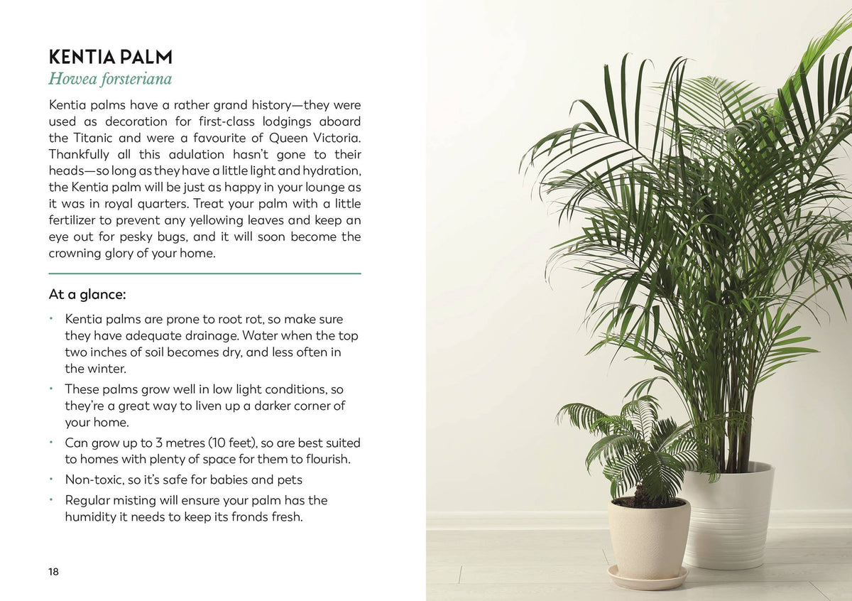 
                  
                    The Little Book for Plant Parents
                  
                