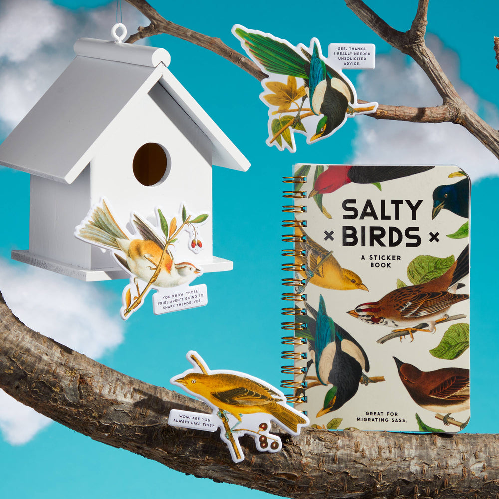 
                  
                    "Salty Birds" a Brass Monkey Sticker Book
                  
                
