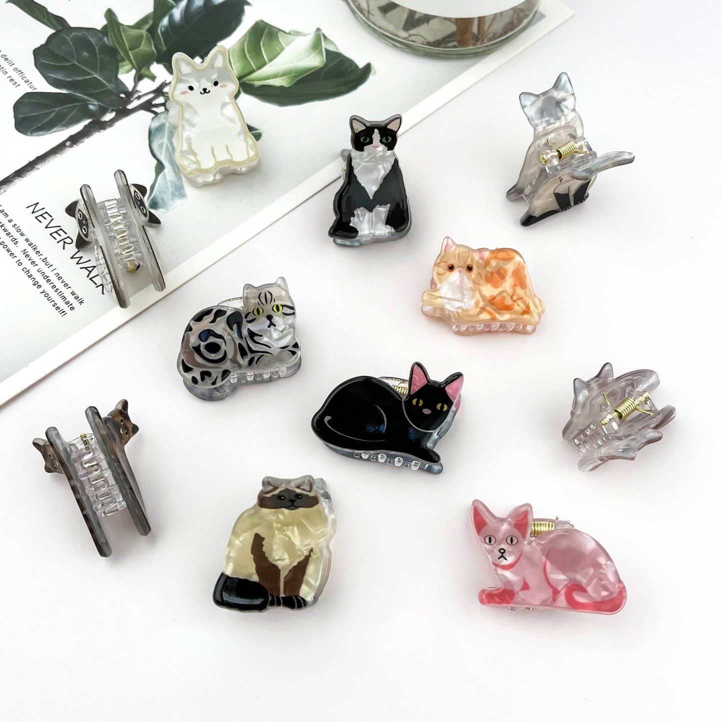 
                  
                    Mini Kitten Hair Claw Claw
                  
                