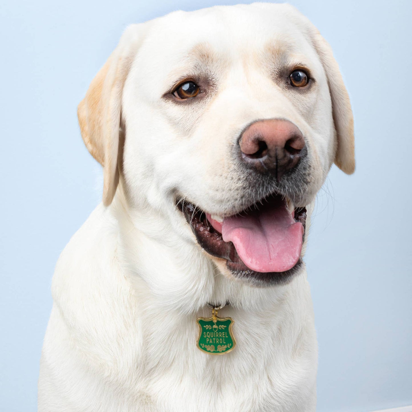 
                  
                    "Squirrel Patrol" Pet Collar Charm
                  
                