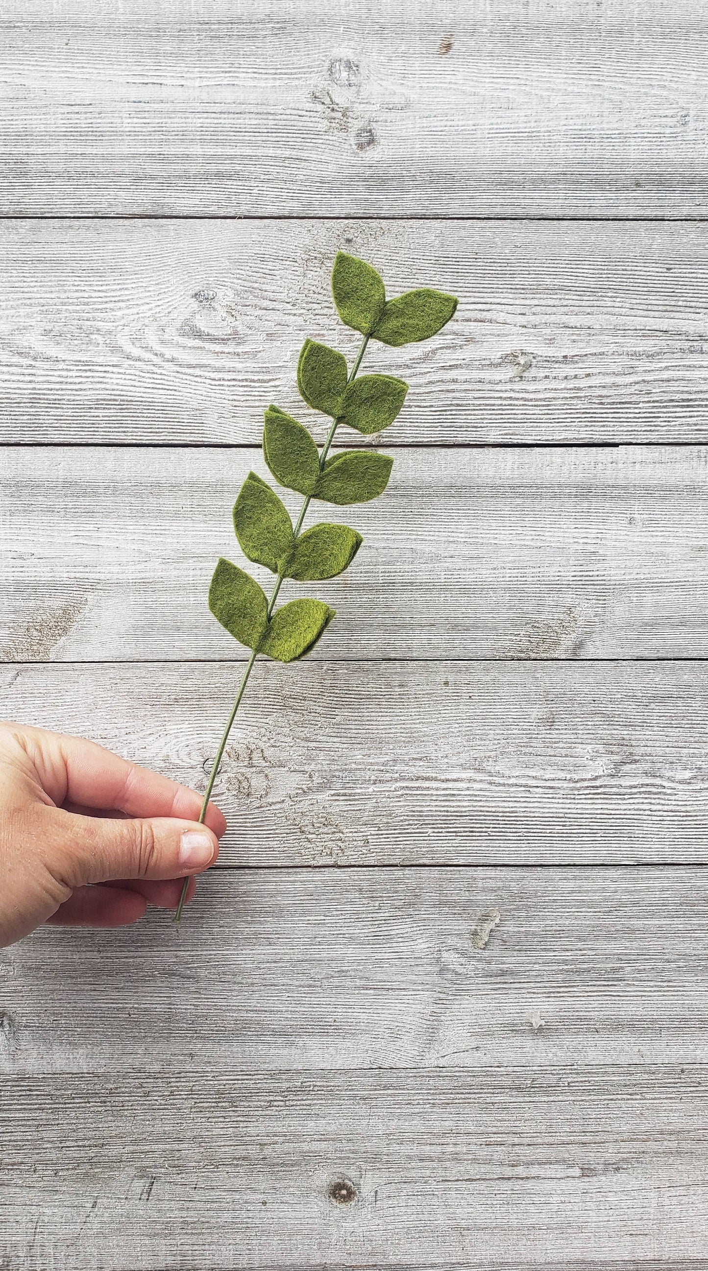 
                  
                    Felt Stem: Fern
                  
                