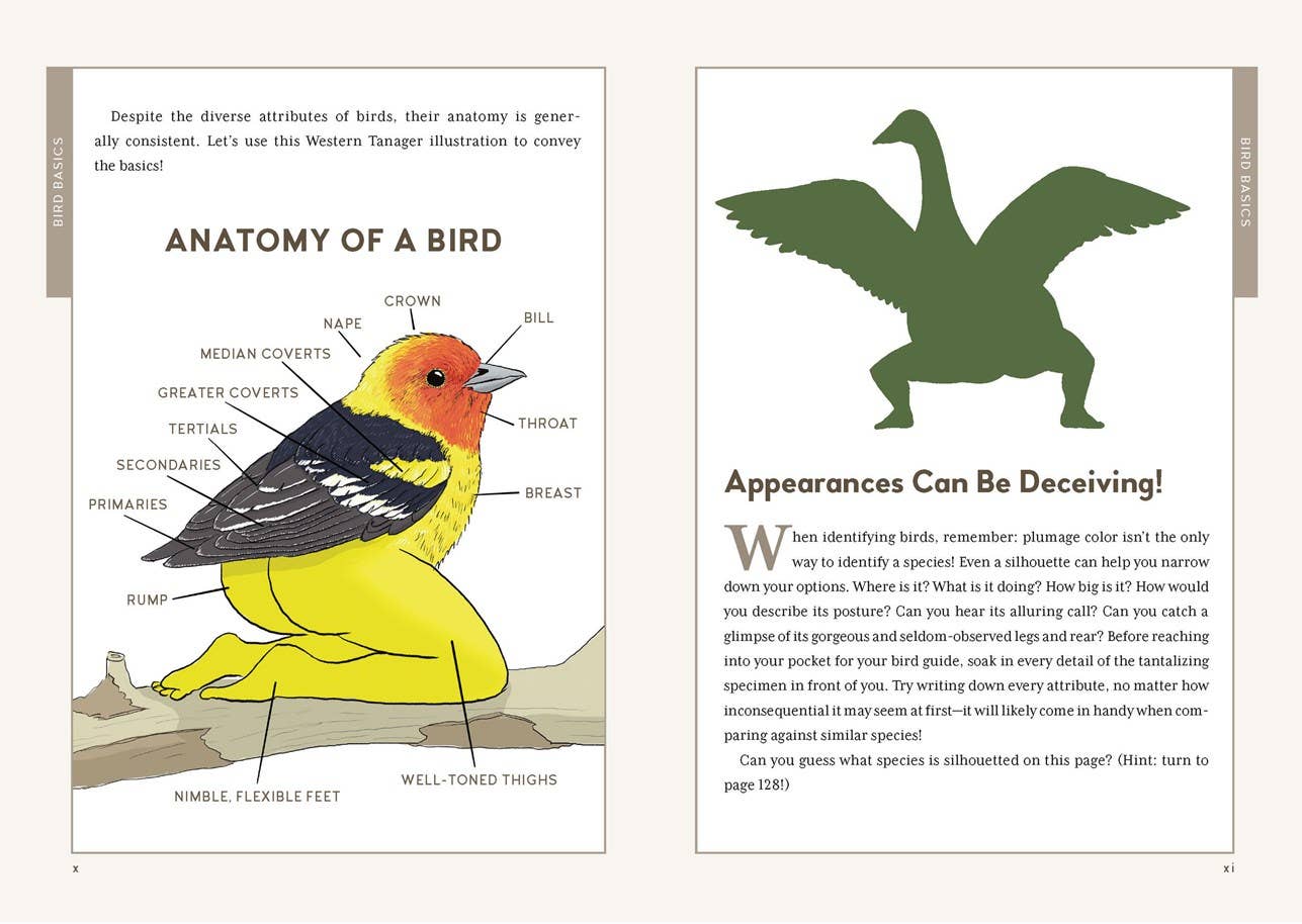 
                  
                    Extremely Accurate Birds by Tommy Siegel
                  
                