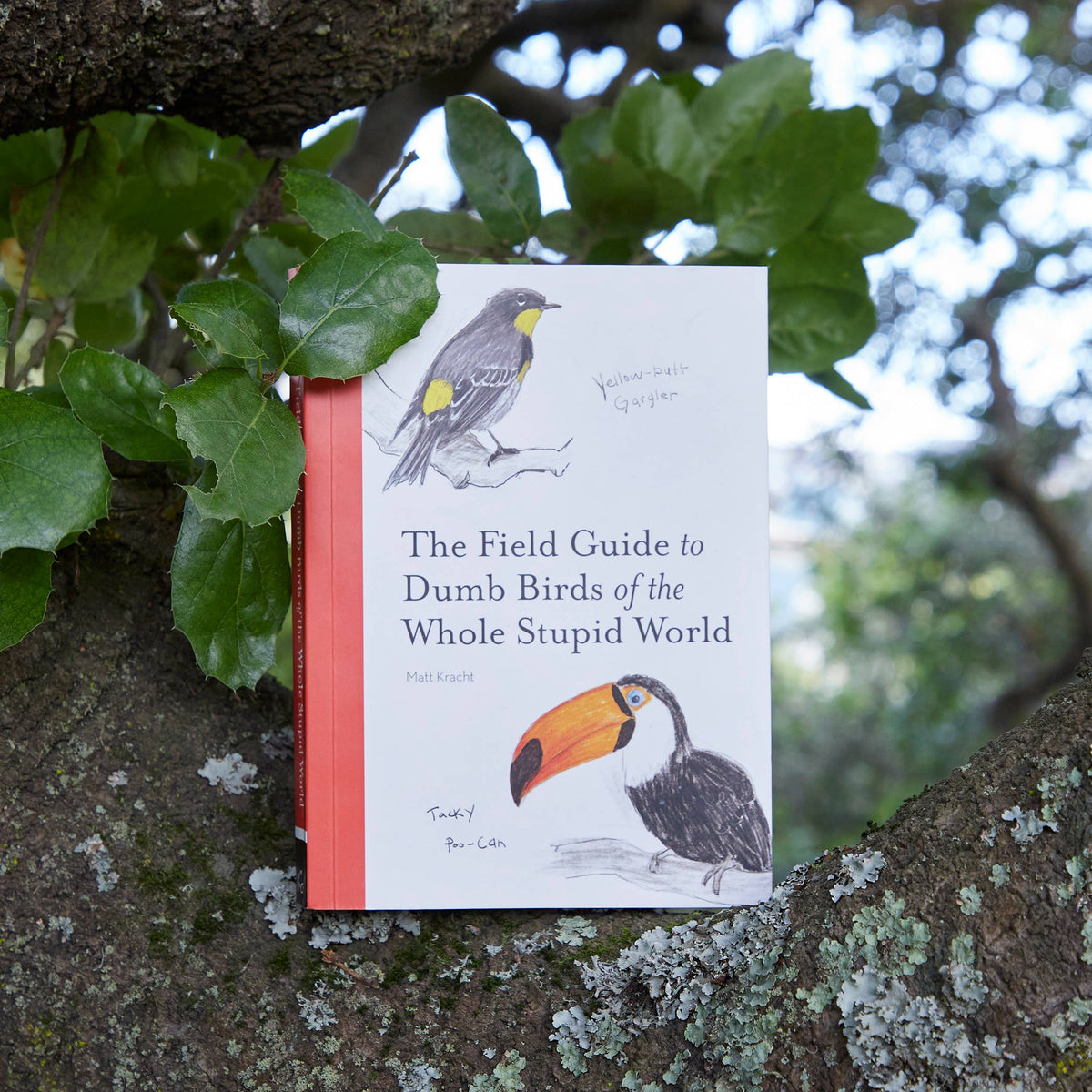 
                  
                    The Field Guide to Dumb Birds of the Whole Stupid World
                  
                