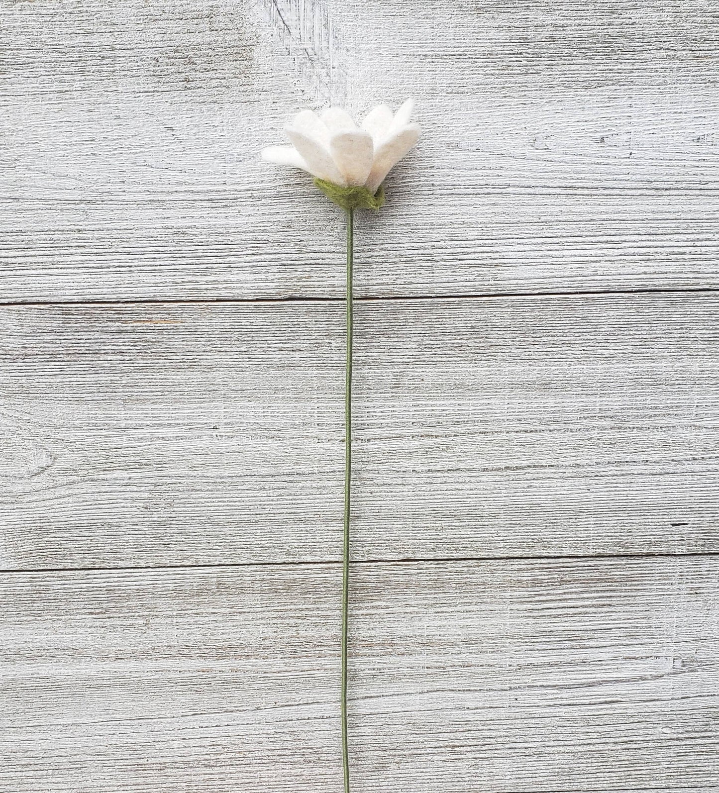 
                  
                    Felt Stem:  Button Daisies
                  
                