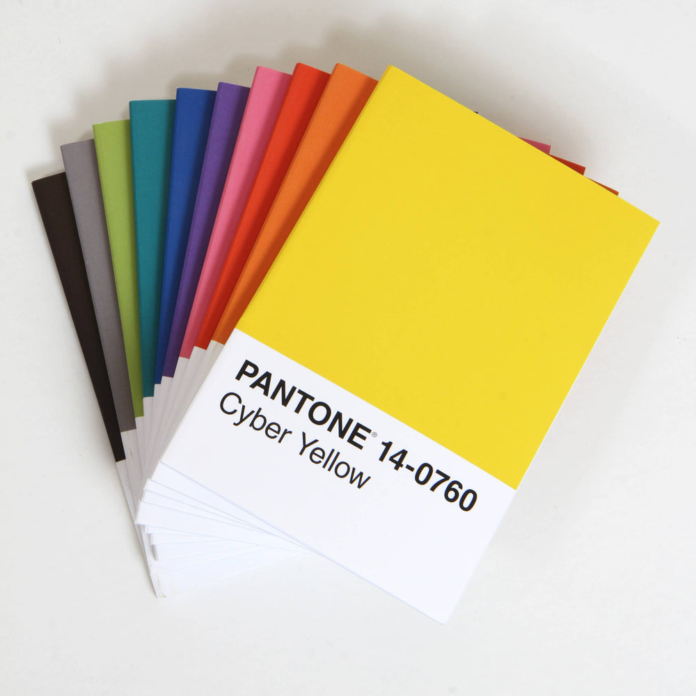 
                  
                    Pantone: 10 Notebooks
                  
                