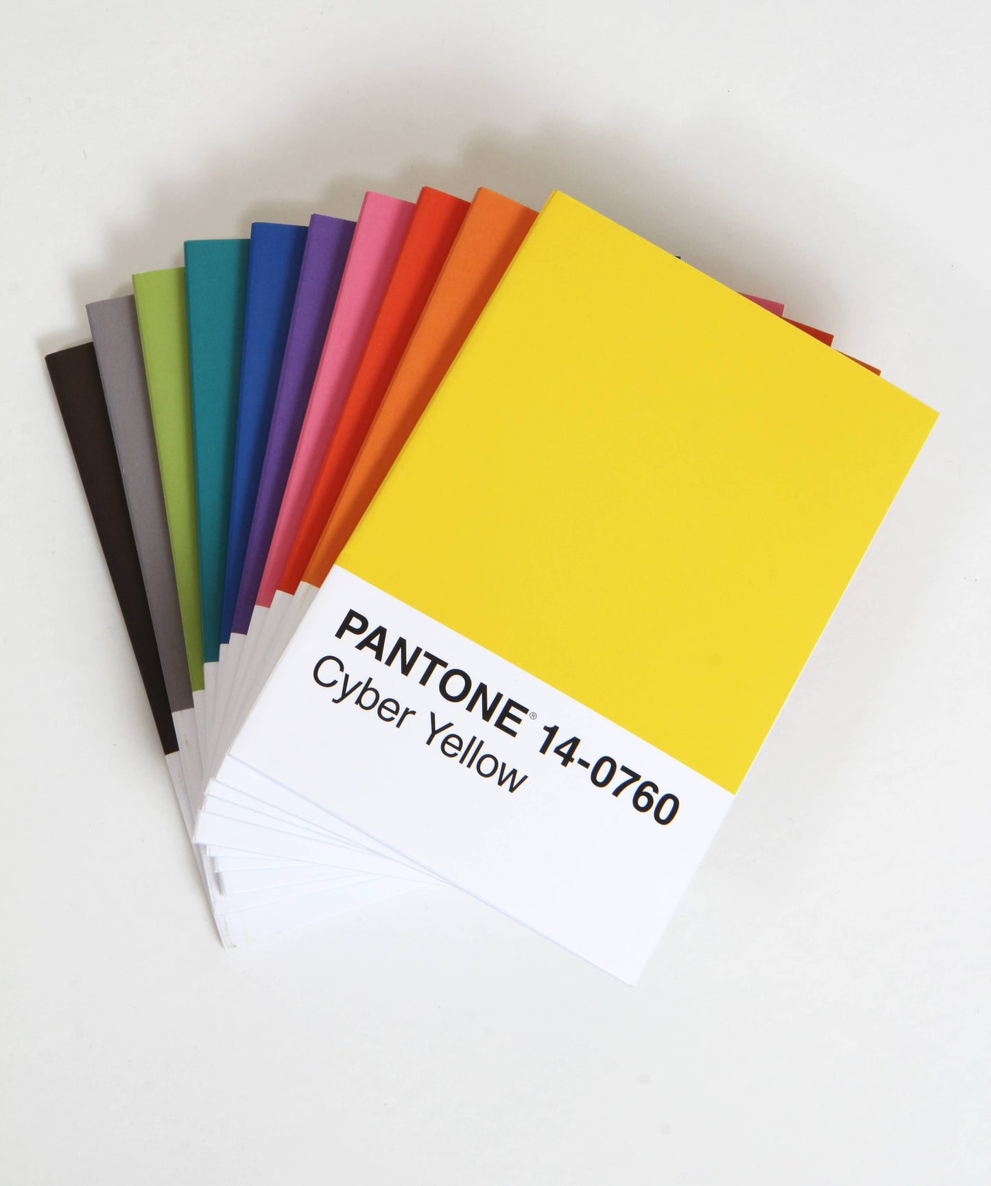 
                  
                    Pantone: 10 Notebooks
                  
                