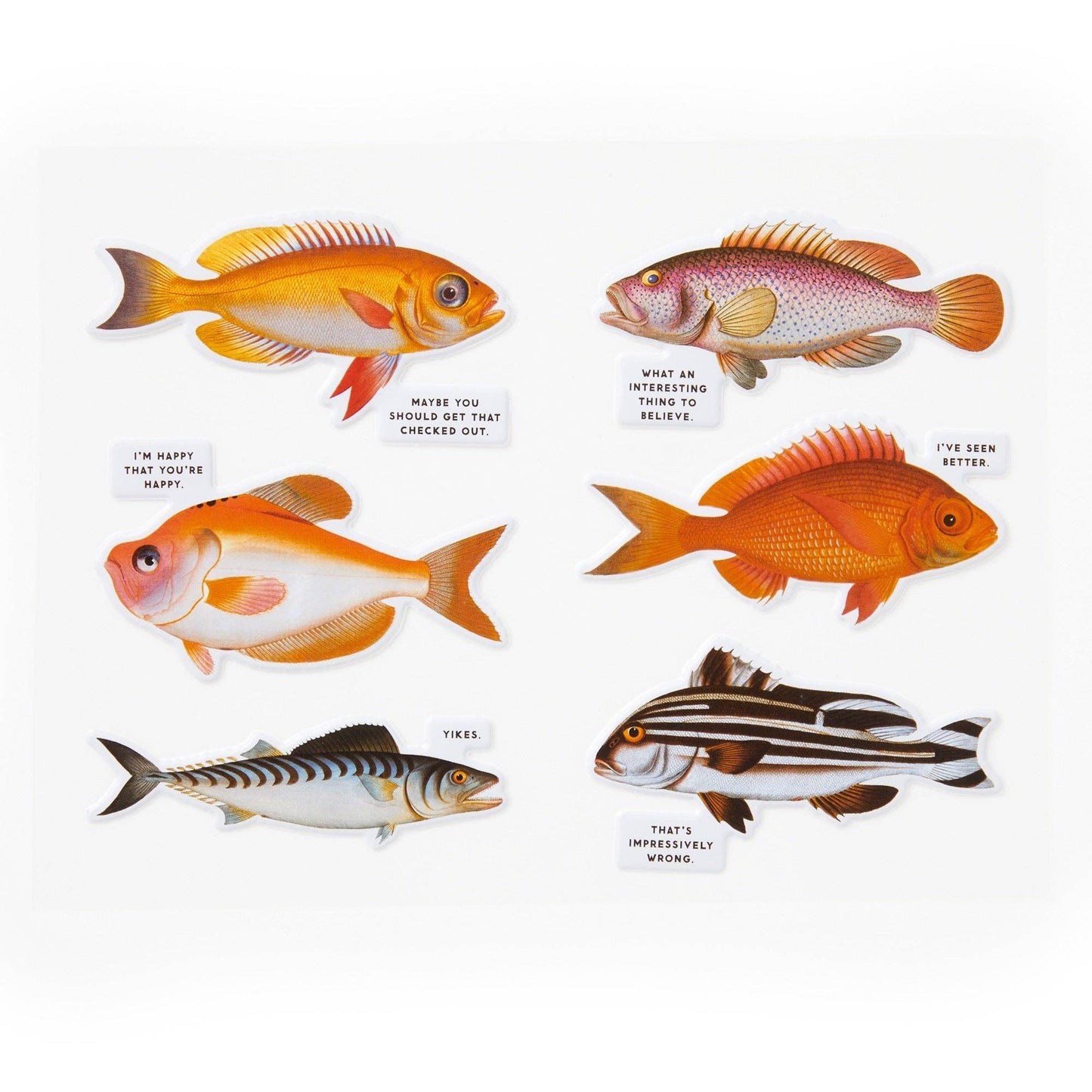 
                  
                    Judgy Fish by Brass Monkey: 1000 Piece Puzzle
                  
                