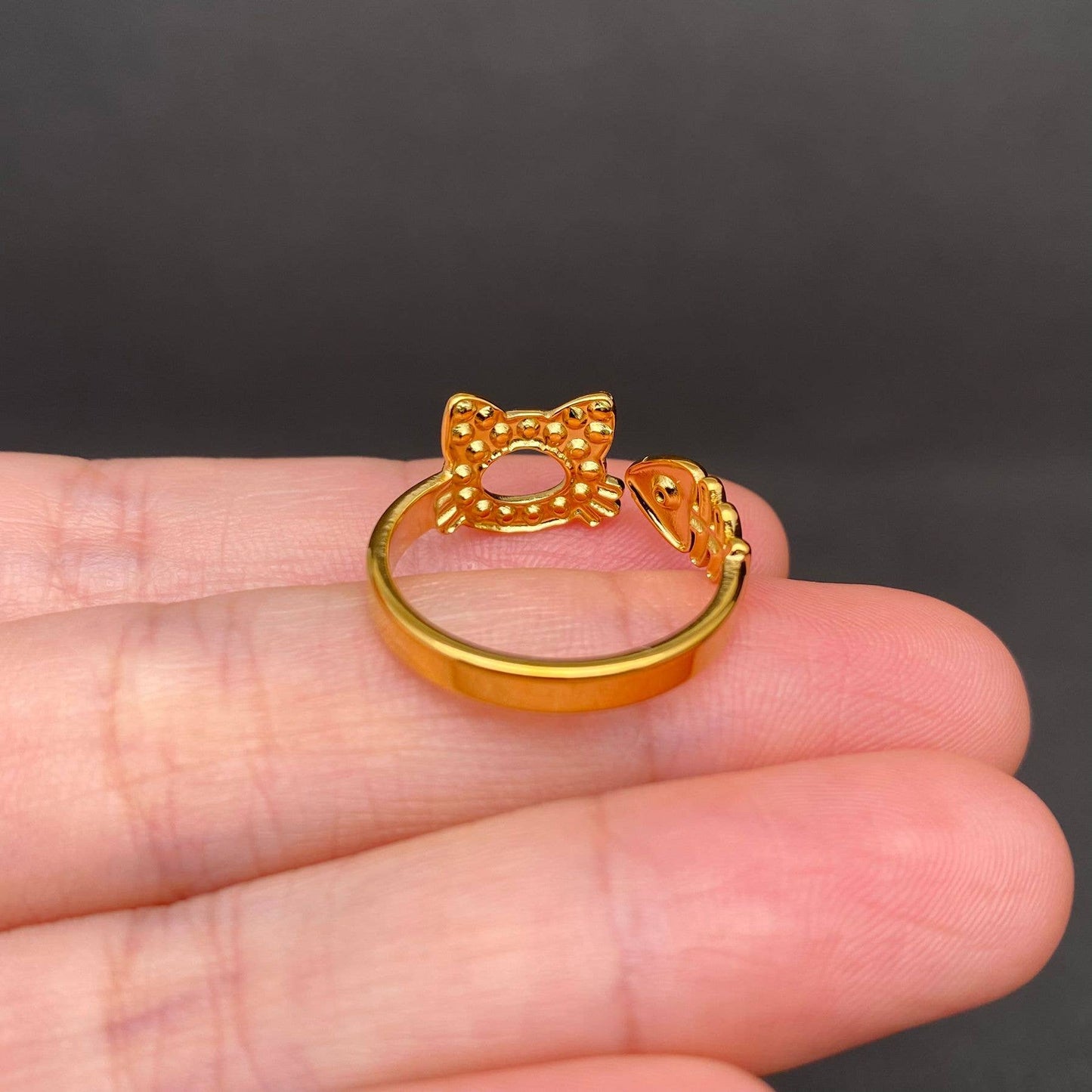 
                  
                    Zircon Inlaid Cat Meets Fish Ring
                  
                